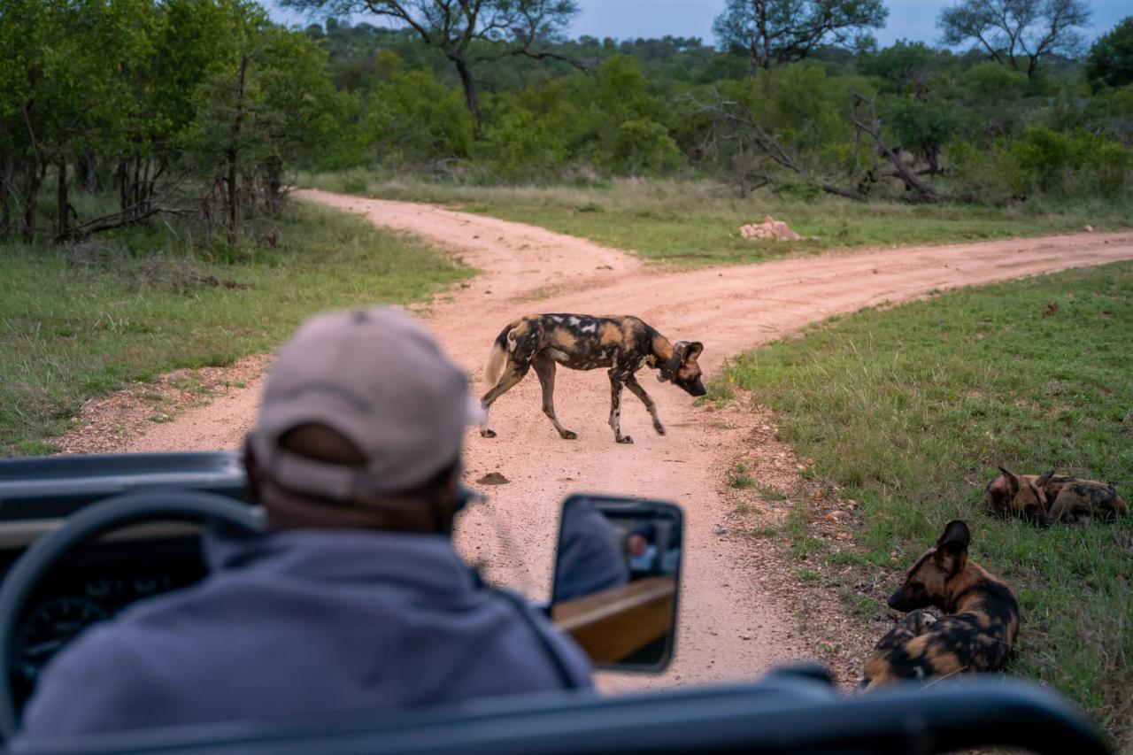 Thornybush Game Lodge Thornybush Doğa Koruma Alanı Dış mekan fotoğraf
