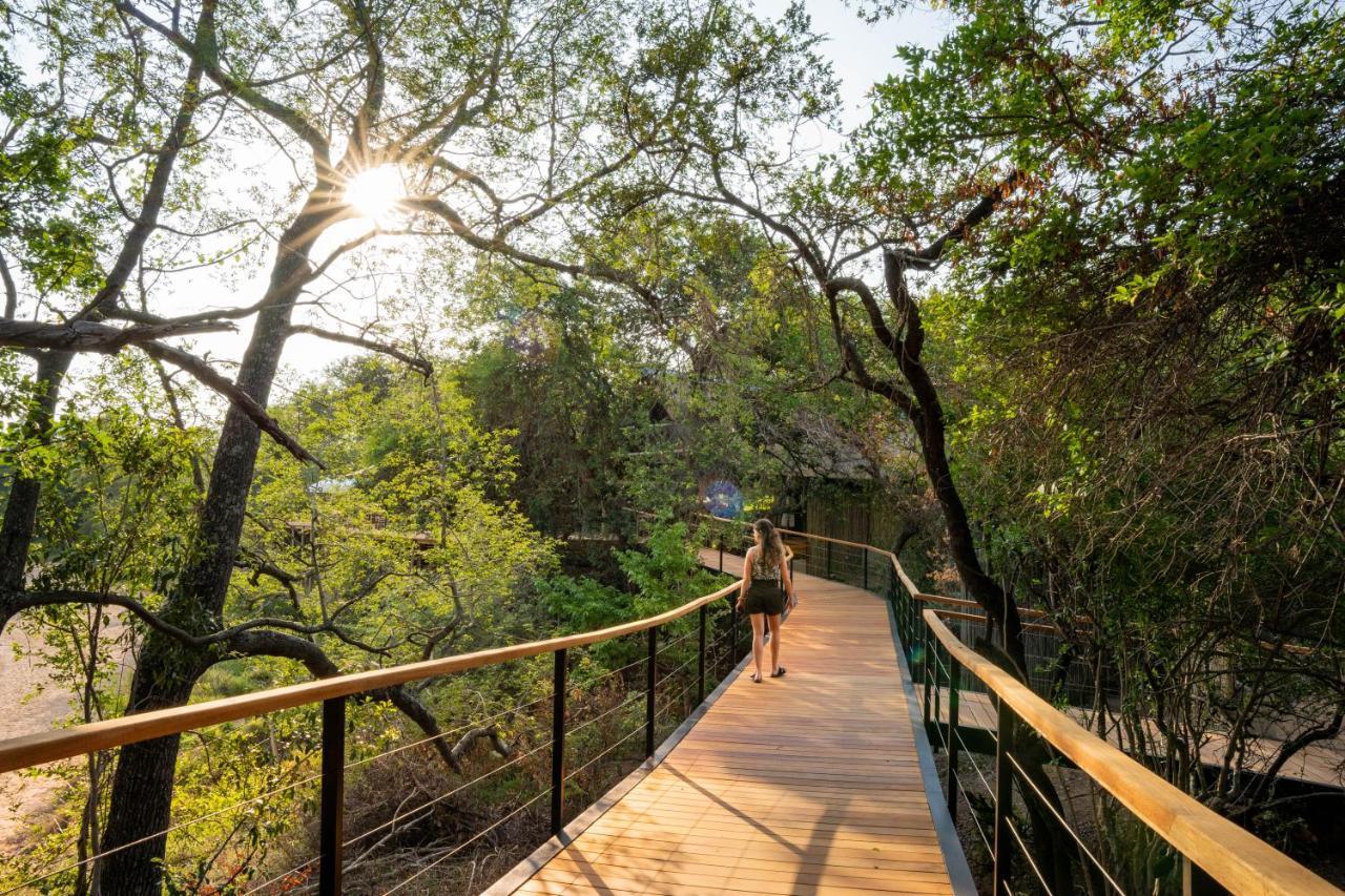 Thornybush Game Lodge Thornybush Doğa Koruma Alanı Dış mekan fotoğraf
